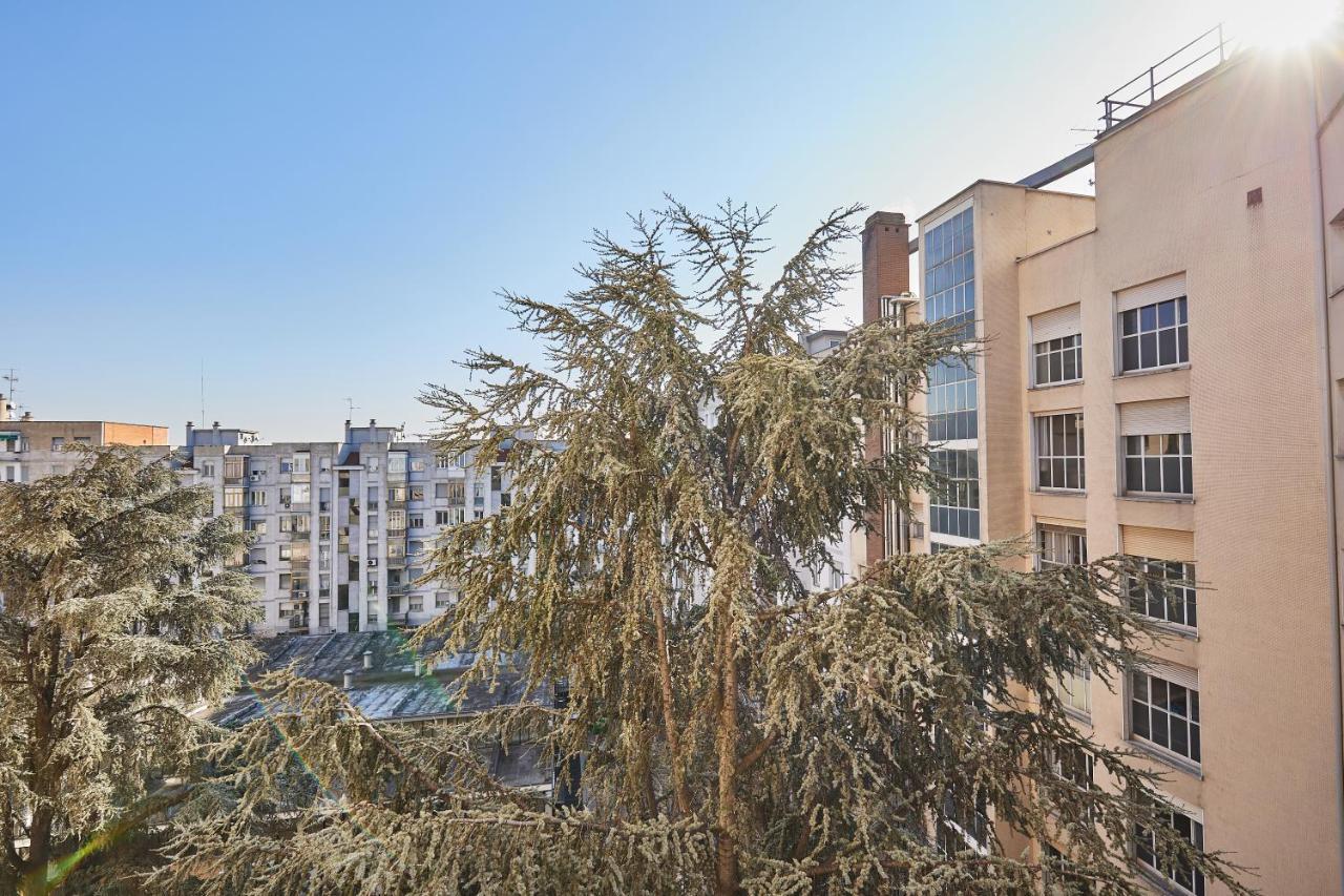 Carlotta Silvani Suite Boloňa Exteriér fotografie